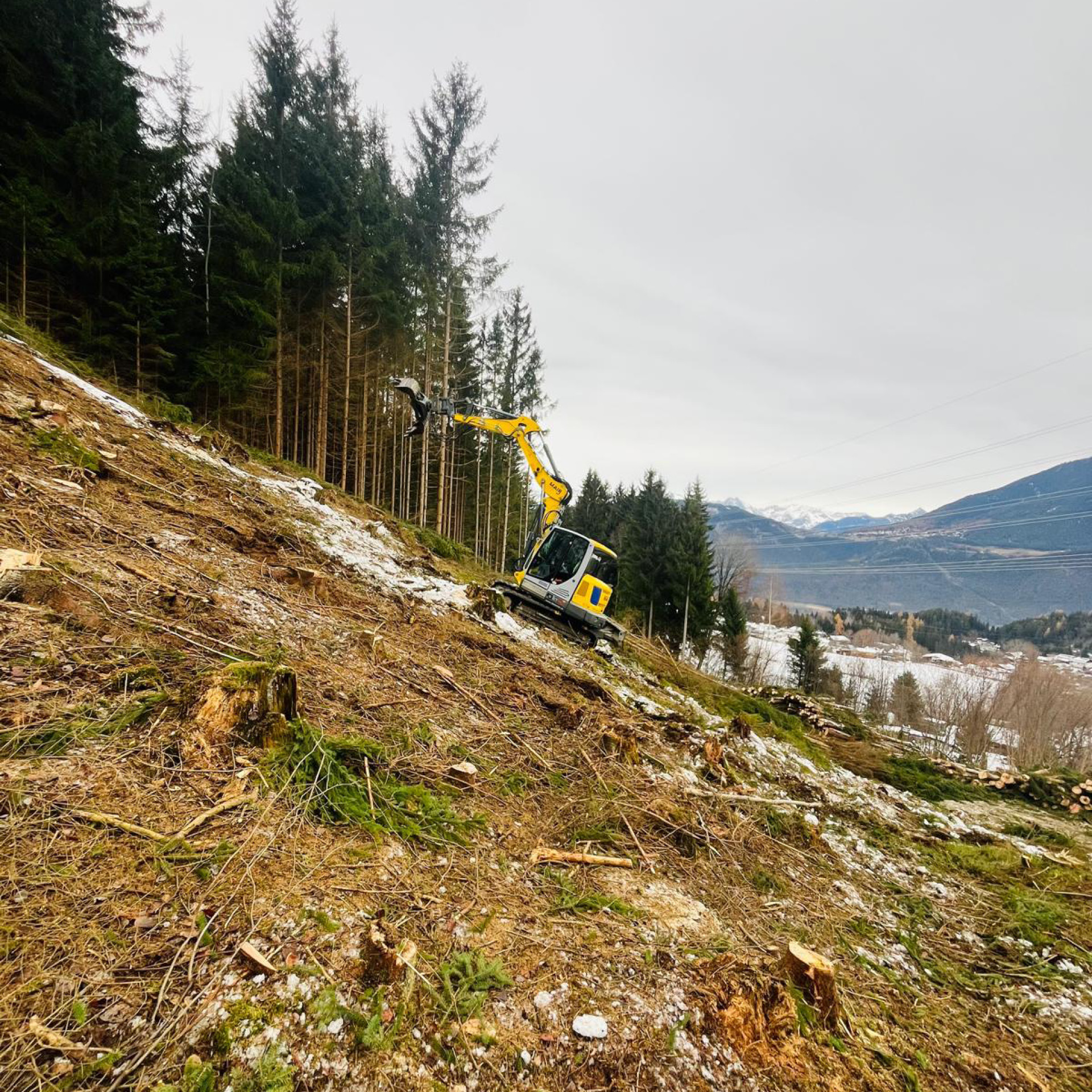 aloismair-wildbachverbauung12 Kettenbagger in steilem Gelände beim Freiräumen von Bäumen für eine Wildbachverbauung